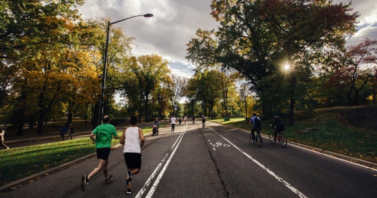 How to Run a 60-Day Gym Transformation Challenge (Safely)
