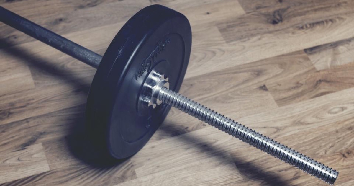 Push Pull Legs Split: A Beginner-Friendly 3- and 6-Day Plan